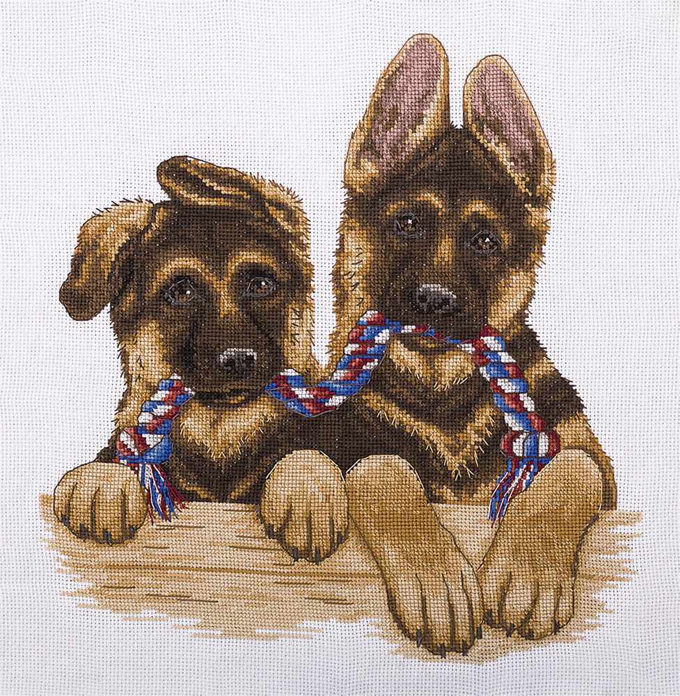 Pair Of Twins
